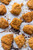 Sour Cream and Onion Potato Chip Chicken - (Free Recipe below)