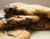 NY Times Best Chocolate Chip Cookies - (Free Recipe below)