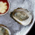 East Coast Oysters Collection Kit - 6 each of 4 Oyster Variety