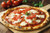 A Taste of Italy Pizza Crusts Variety Kit - Classic, Pan, Pinsa, Sheet -  includes 8 - Imported from Italy