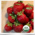 Fresh Frozen Organic Heirloom Strawberries - 3 lb Fresh Frozen Organic Heirloom Strawberries - 3 lb