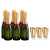 Chocolate Dipped Covered Champagne Mini Bottle - Moet Chandon Imperial Brut Champagne - includes 2 Chocolate Dipped Covered Champagne Mini Bottle - Moet Chandon Imperial Brut Champagne - includes 2