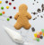 Gingerbread Cookie Decorating Kit, 3 Boys & 3 Girls with All the Fixings!