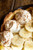 Banana Creme Pie - (Free Recipe below)