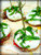 Grilled Chicken Caprese Appetizer - (Free Recipe below)