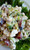 Sonoma Chicken Salad Sandwich - (Free Recipe below) Sonoma Chicken Salad Sandwich - (Free Recipe below)