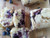 Lemon Blueberry Bread, 3 Mini Loaves