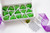 Mojito Cocktail Sugar Cubes - DIY Cocktail Kit