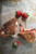 Brie, Bacon and Strawberry Grilled Cheese Sandwich - (Free Recipe below)