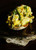 Scrambled Egg and Roasted Asparagus Toasts - (Free Recipe below)