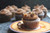 Snickers Cupcake - One Dozen