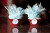 Red Velvet Cotton Candy Cupcakes - One Dozen