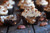 Chocolate Bourbon Pecan Pie Cupcakes with Butter Pecan Frosting - One Dozen