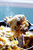 French Onion Beef Stroganoff - (Free Recipe below)