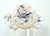 Gourmet Cannoli Lollipops - 7 included Gourmet Cannoli Lollipops - 7 included