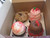 Strawberry Shortcake Cupcakes - One Dozen