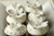 Dogwood Flower Vanilla Cupcakes - One Dozen