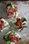 Asparagus, Crispy Prosciutto and Brie Grilled Cheese - (Free Recipe below)