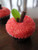 Pink Champagne, Guinness and Bailey's Apple shaped Cupcakes - One Dozen
