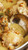 Rustic Chicken with Garlic Gravy - (Free Recipe below)