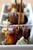 Dates & Bleu Cheese Wrapped in Bacon - 50 pieces per tray