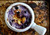 Baked Blueberry Cheddar Dip with Toasty Bread - (Free Recipe below)