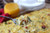 Sunday Brunch Casserole - (Free Recipe below)