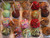 Gourmet Cheesecake Pop Assortment - 50 pieces per tray