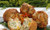 Blue Crab Fritters - 8 of  3 oz. each