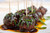 Bourbon Cocktail Meatballs - 36 meatballs per tray