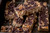 Peanut Butter Pretzel Chocolate Chip Granola Bars - includes 12 bars