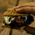 THE VERMONT S'MORES KIT THE VERMONT S'MORES KIT
