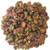 Superfood SNACK Pack Sampler (18 Pack)