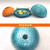 Egloo - Eco-Friendly Candle Power Heater, Humidifier - many designs, scents available