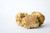Fresh White Truffles (Italy) - order ASAP for the Holidays