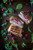 Ham Cheddar Cranberry Melt