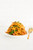 SPIRALIZED SWEET POTATO PASTA WITH CREAMY GARLIC ALMOND BUTTER SAUCE