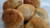 Gluten Free Dinner Rolls