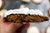 All the Muffins! Variety Pack - Banana, Chocolate & Pumpkin