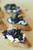 BLUEBERRY CHUTNEY & RICOTTA CROSTINI