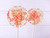 Champagne Lollipops, many flavors & designs, 6 included (as seen in Brides Magazines)