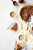 Pecan Apple Pumpkin Pie