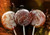 Lychee, Vanilla Bean & Black Raspberry Lollipops - 7 Included
