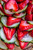 Strawberry Cucumber Salad with Honey Balsamic Dressing