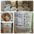Gourmet Oatmeal / Museli Mix & Match - Pack of 12