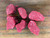 Japanese A5  Wagyu Ribeye Steak - 1 lb