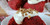 Red Velvet Scones - 1 Dozen