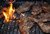 BBQUE 4 + 4 Rubs & Sauces