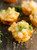 Seafood Delights Appetizer Sampler Seafood Delights Appetizer Sampler