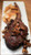 Australian Wagyu Beef Tomahawk Steaks, 2 pieces, 32 oz ea